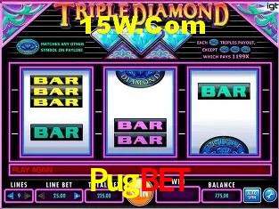 Sinta a adrenalina dos jogos de cassino com Pugbet